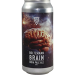 Boltzmann Brain