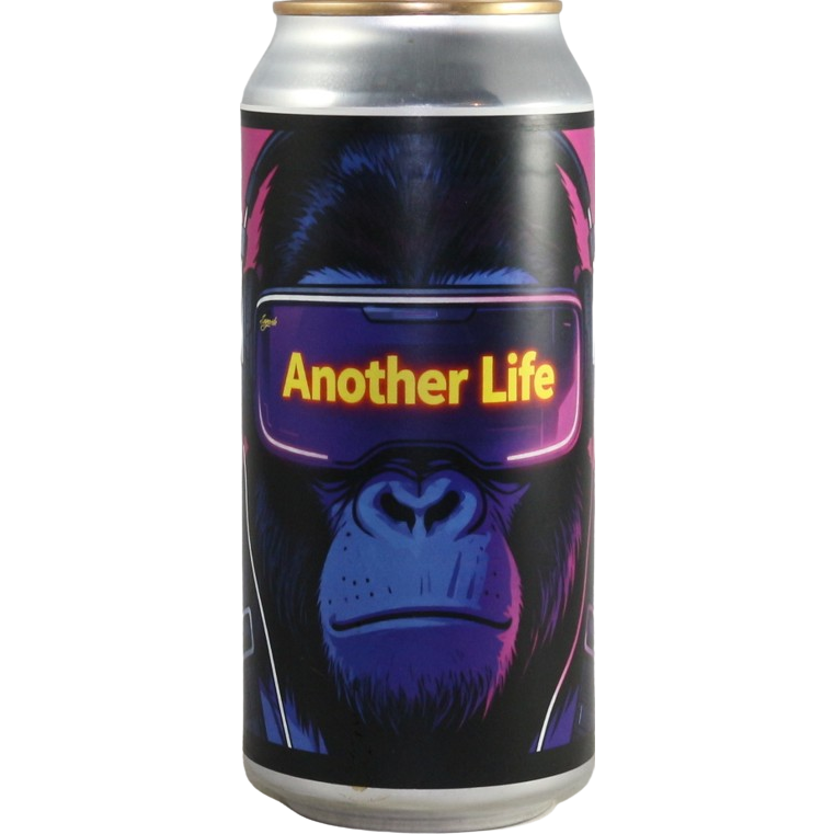 Another Life Another Life