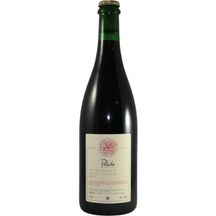 Coexistence Kriek - Peach 2025