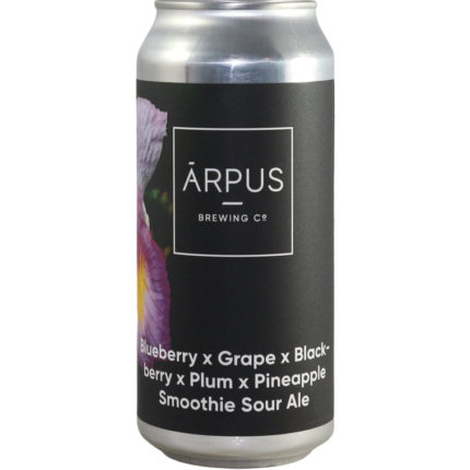 Blueberry X Grape X Blackberry X Plum X Pineapple Smoothie Sour Ale